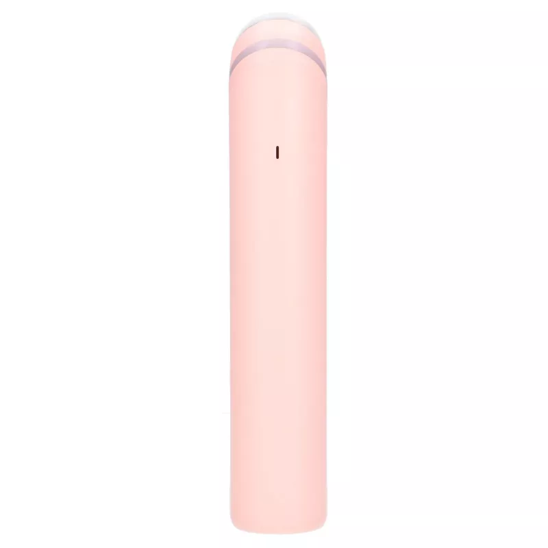 Stay Beauty Booster EX.98444 Facial Care Device EMS Massage Pink