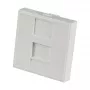 EFB Elektronik ET-25026 Central Plate 22.5x45mm for 1 Keystone, Outlet Straight, Pure White (RAL 9010)