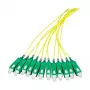 EFB Elektronik Fibre Pigtail SC-APC8° 9/125µm OS2 Yellow, 2m