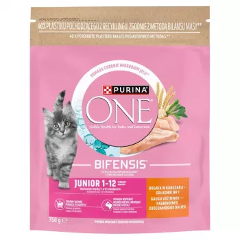 Purina ONE Junior Chicken & Whole Grains Dry Dog Food 750g