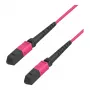 EFB-Elektronik MTP Female to MTP Female 12-Fiber OM4 Multimode Patch Cable, LSZH, Erika Violet, Type B, 3m