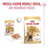 ROYAL CANIN French Bulldog Adult Digestive Health Loaf Box - Wet Dog Food - 12x85g