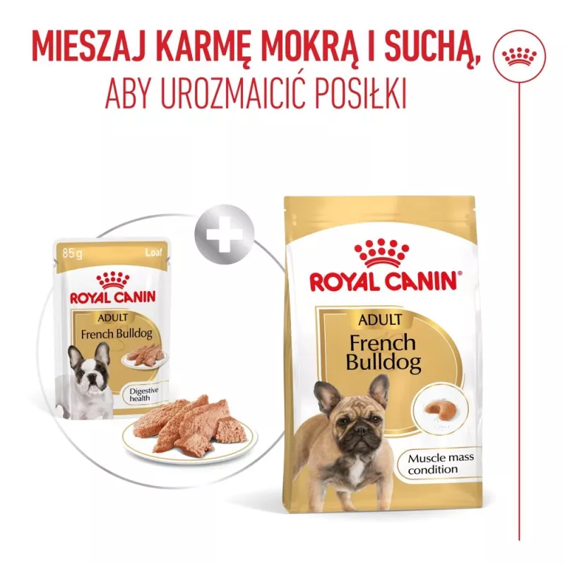 ROYAL CANIN French Bulldog Adult Digestive Health Loaf Box - Wet Dog Food - 12x85g