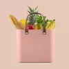 Rotho Multibag Albula Style 25L Storage Box, Meadow Rose