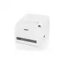 Citizen CT-S310II Thermal Receipt Printer - Monochrome (Black & Red) - 203 dpi - 160 mm/s - USB & Serial - Auto Cutter - White
