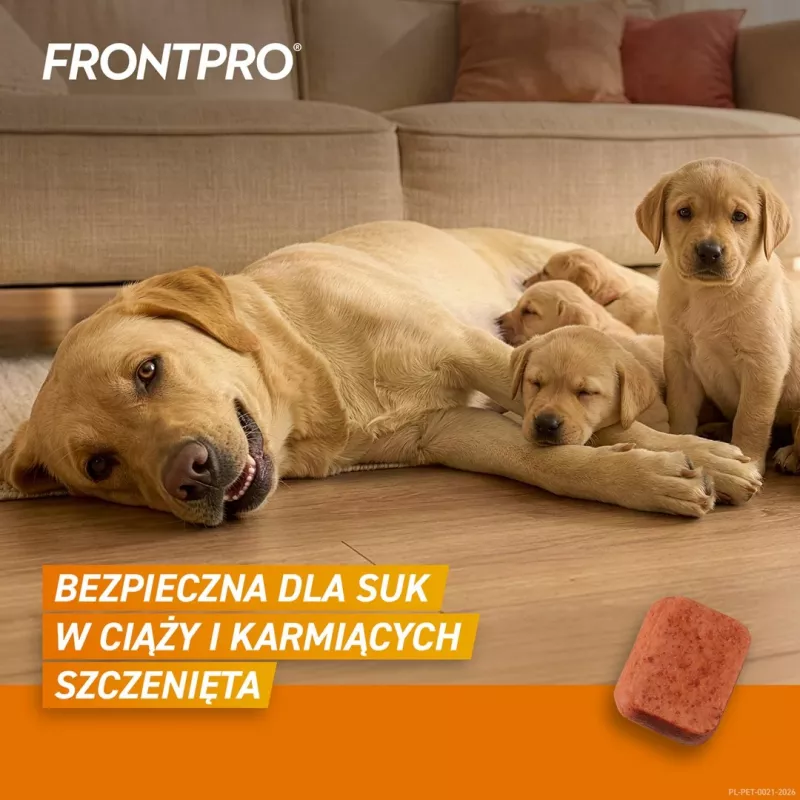 FRONTPRO Flea and Tick Tablets for Dogs (25-50 kg) - 3x 136 mg Afoxolaner Chewable Tablets