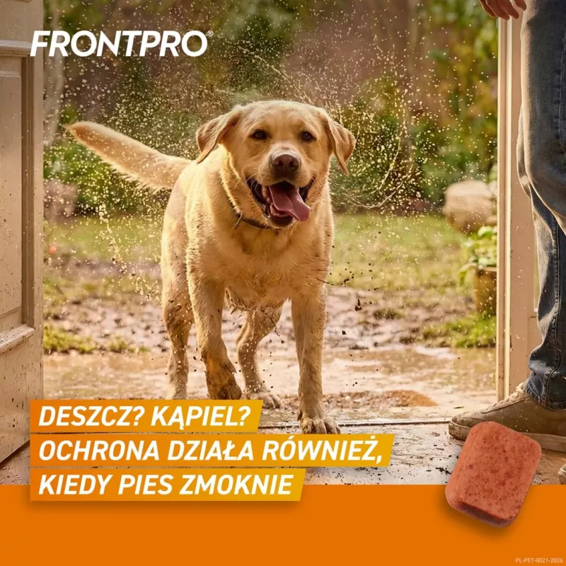 FRONTPRO Flea and Tick Tablets for Dogs (25-50 kg) - 3x 136 mg Afoxolaner Chewable Tablets