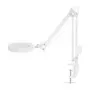 NEDIS MAGLE2WT Table Magnifier with LED Light, 2x/4x Magnification, White