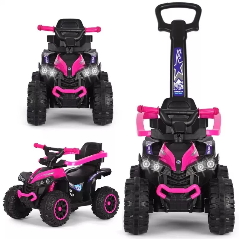 MILLY MALLY Kids Bike with Handle Wild Pink 12 Inch