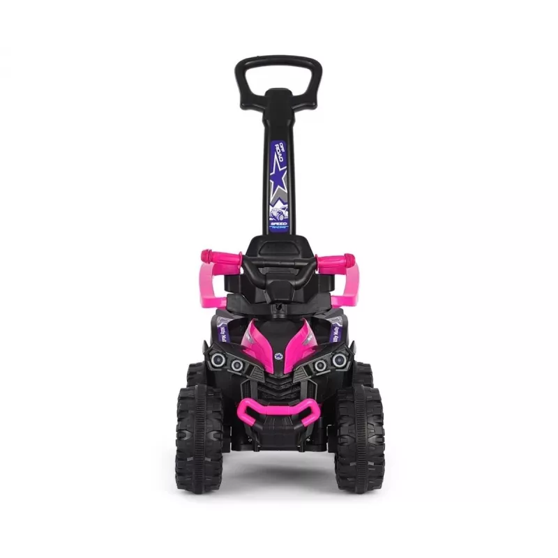MILLY MALLY Kids Bike with Handle Wild Pink 12 Inch
