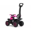 MILLY MALLY Kids Bike with Handle Wild Pink 12 Inch