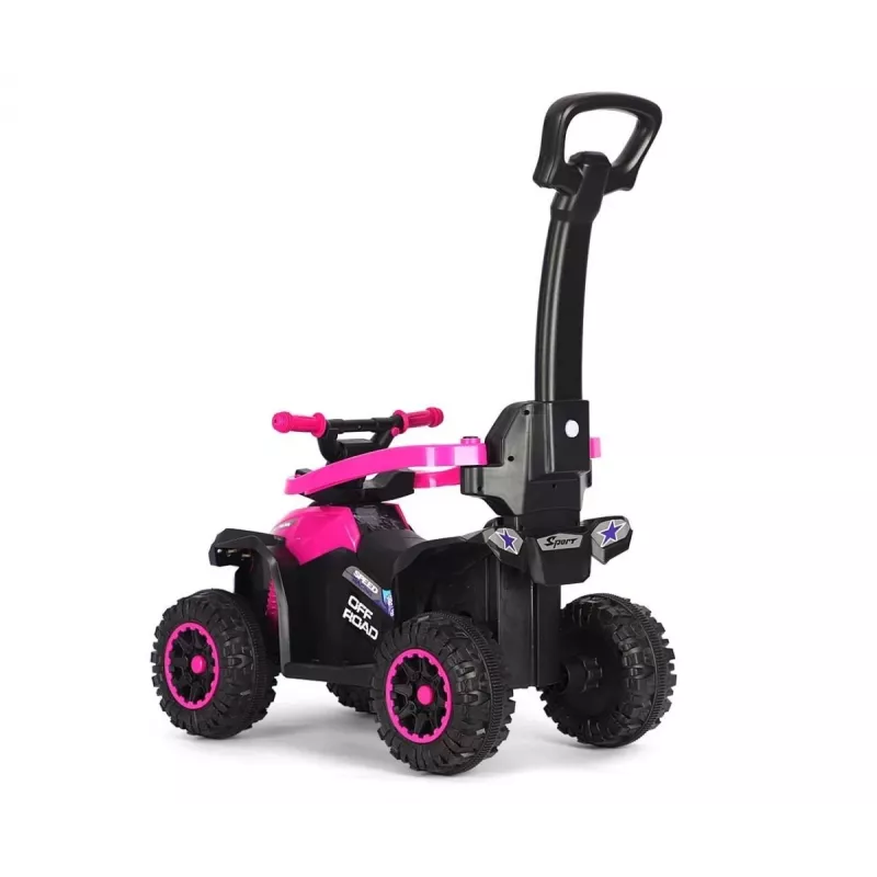 MILLY MALLY Kids Bike with Handle Wild Pink 12 Inch