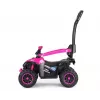MILLY MALLY Kids Bike with Handle Wild Pink 12 Inch