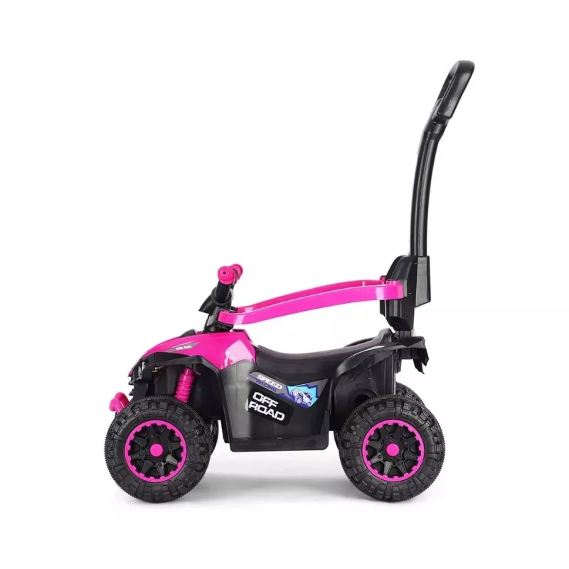 MILLY MALLY Kids Bike with Handle Wild Pink 12 Inch