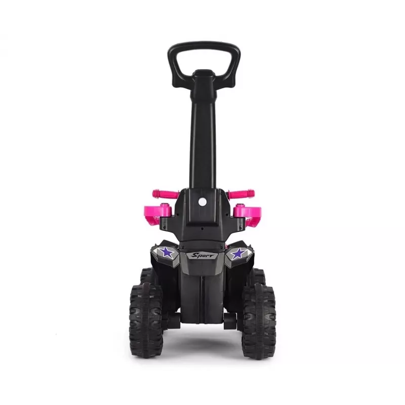 MILLY MALLY Kids Bike with Handle Wild Pink 12 Inch
