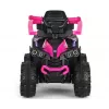 MILLY MALLY Kids Bike with Handle Wild Pink 12 Inch