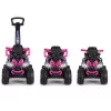 MILLY MALLY Kids Bike with Handle Wild Pink 12 Inch