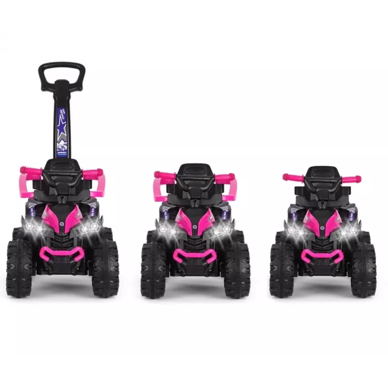 MILLY MALLY Kids Bike with Handle Wild Pink 12 Inch