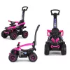 MILLY MALLY Kids Bike with Handle Wild Pink 12 Inch
