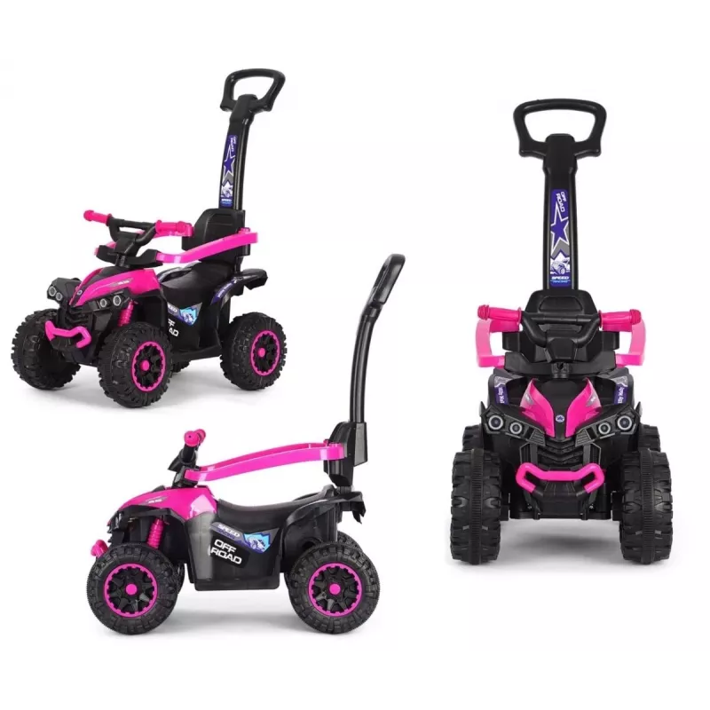 MILLY MALLY Kids Bike with Handle Wild Pink 12 Inch