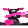 MILLY MALLY Kids Bike with Handle Wild Pink 12 Inch