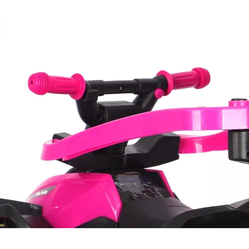 MILLY MALLY Kids Bike with Handle Wild Pink 12 Inch