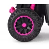 MILLY MALLY Kids Bike with Handle Wild Pink 12 Inch