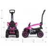 MILLY MALLY Kids Bike with Handle Wild Pink 12 Inch
