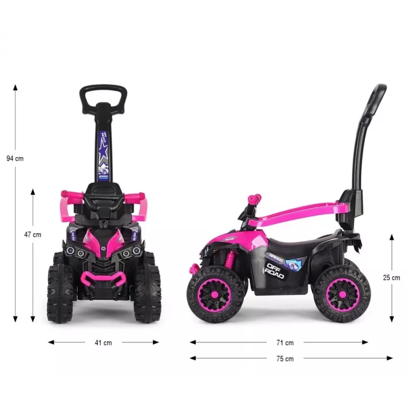 MILLY MALLY Kids Bike with Handle Wild Pink 12 Inch
