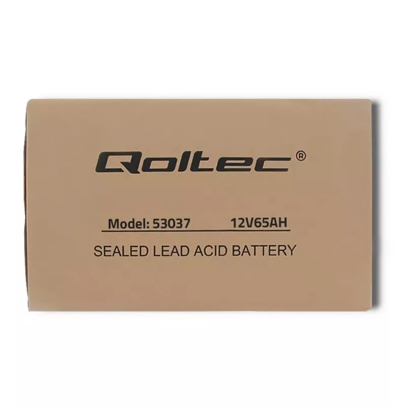 Qoltec 53037 AGM Battery 12V 65Ah max 780A