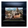 ASUS TUF Gaming F16 FX608JMI-TU290W 16 inch WUXGA 165Hz Gaming Laptop, Intel Core i7-14650HX, 16GB DDR5, 1TB SSD, NVIDIA GeForce RTX 5060, Windows 11 Home, German QWERTZ Keyboard, Mecha Gray