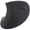 Equip 245110 Vertical Ergonomic Wireless Mouse - Right-Handed - 2.4 GHz - USB Receiver - Black