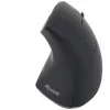 Equip 245110 Vertical Ergonomic Wireless Mouse - Right-Handed - 2.4 GHz - USB Receiver - Black