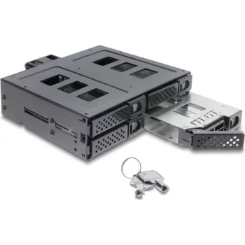 Delock 5.25 inch Mounting Frame for 4 x 2.5 inch SATA or SAS HDD / SSD with Lock