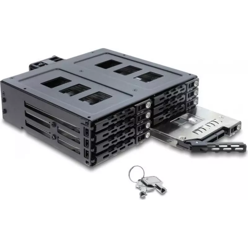 Delock 5.25 inch Wechselrahmen für 8 x 2.5 inch SATA oder SAS HDD / SSD mit Schloss