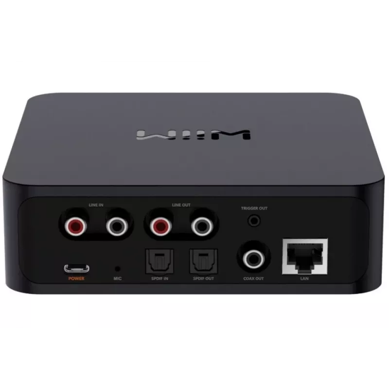 WiiM Pro Network Player - AirPlay 2, Chromecast, Multiroom Streamer
