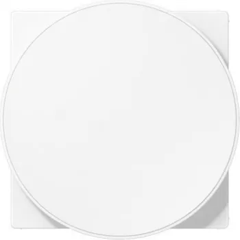 JUNG JG A WC MAG WWM Cover for Wireless Charging, Lacquered Thermoplastic, Series