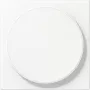 JUNG LS WC MAG WWM Cover for Wireless Charging, Thermoplastic Lacquered, Alpine White, Series LS