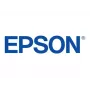 Epson 250XL Light Magenta Original Ink Cartridge (T250XL420-S) High Yield