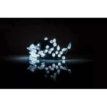 iLike Robin 2-Color LED String Lights 2m Battery Powered
