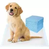 iLike Pet Super-Absorbent Disposable Training Pads for Dogs & Cats 20 pcs Leak-Proof 60x90 cm