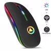GameBox MR12 Wireless Mouse with RGB Lighting Silent Click USB Rechargeable Ergonomic Design Black