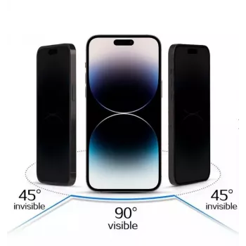 iLike Apple iPhone 17 Tempered Privacy Glass Black