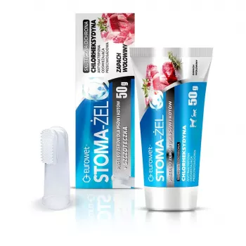 EWE EUROWET Stoma-Żel Beef Toothpaste and Toothbrush for Dogs and Cats 50 g