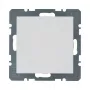 Berker 10091909 Blind Cover Polar White S.1/B.1/B.7 with Central Piece