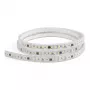 SYNERGY21 LED Flex Strip 2835 - 120 NW pixel DC24V WS2811 IP65