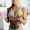 Bodi-Tek BT-ABTR5-EU/1.1 Ab Trainer Black/Orange