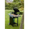 Barbecook Gas Barbecue Spring 3112 with Storage, 115 x 55 x 133 cm