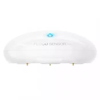 NCE Nice Flood-Control Water Leak and Temperature Sensor (FGFS-101 ZW5 EU) Z-Wave Plus