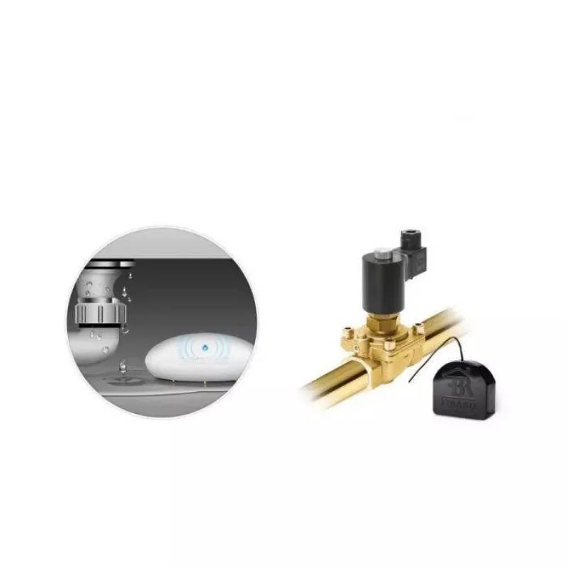 NCE Nice Flood-Control Water Leak and Temperature Sensor (FGFS-101 ZW5 EU) Z-Wave Plus
